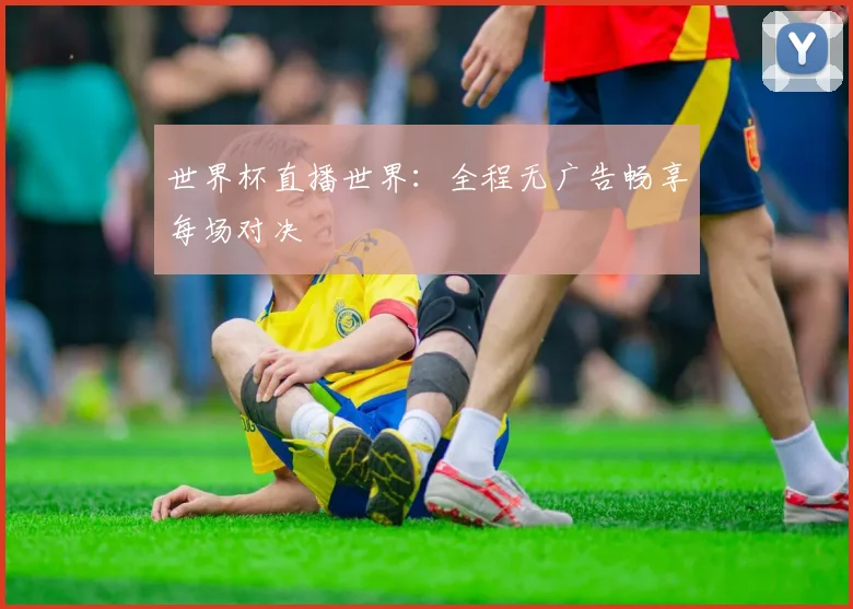 世界杯直播世界：全程无广告畅享每场对决