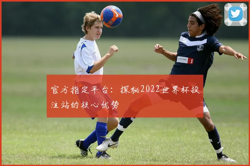 官方指定平台:探秘2022世界杯投注站的核心优势