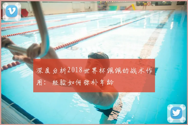 深度分析2018世界杯佩佩的战术作用：经验如何弥补年龄
