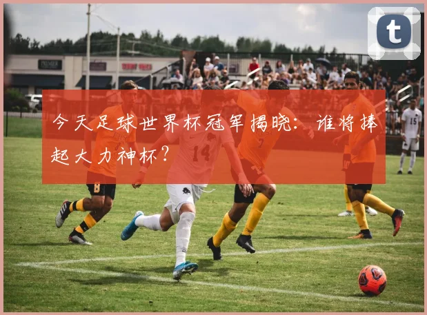 今天足球世界杯冠军揭晓:谁将捧起大力神杯?