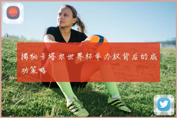 揭秘卡塔尔世界杯举办权背后的成功策略