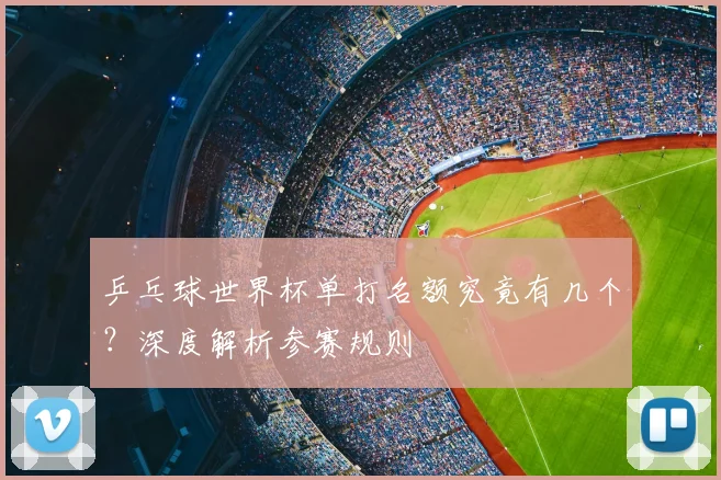乒乓球世界杯单打名额究竟有几个?深度解析参赛规则